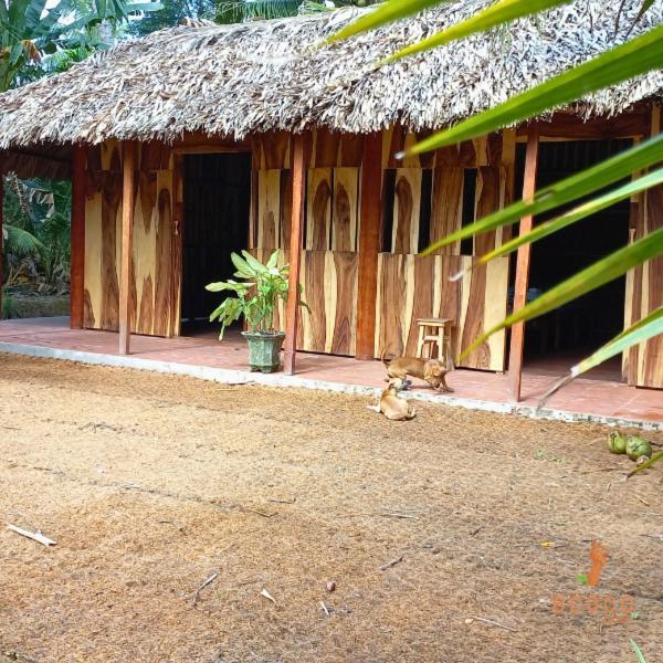 Ecoco Homestay Mekong Ben Tre Exterior foto